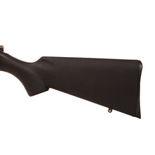 Load image into Gallery viewer, Cz 455 American Ss 22lr Blk Stk
