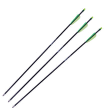 Load image into Gallery viewer, Youth Fiberglass Arrows -3