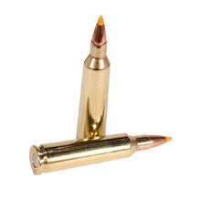 Load image into Gallery viewer, 22-250 Rem 40gr Varmint&amp;predator-20