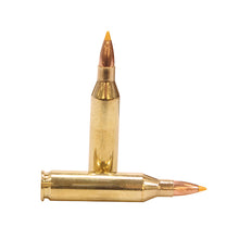 Load image into Gallery viewer, 243 Win, 55gr, Varmint &amp; Predator-20