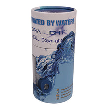 Load image into Gallery viewer, Utility Downlight Blue