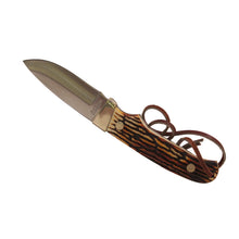 Load image into Gallery viewer, Small Fixed Blade W-staglon Handle,boxed