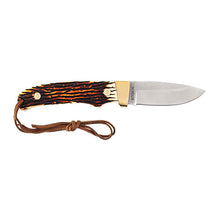 Load image into Gallery viewer, Small Fixed Blade W-staglon Handle,clam