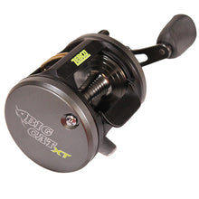 Load image into Gallery viewer, Big Cat Xt 350 Bc Reel 6.3:1