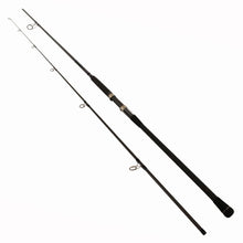Load image into Gallery viewer, Rockaway Surf Rd 11'0" Ml 2pc 8-17lb