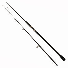 Load image into Gallery viewer, Rockaway Surf Rd 12'0" M 2pc 10-20lb