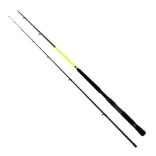 Load image into Gallery viewer, Mr.crappie Slab Daddy, 2pc Rods