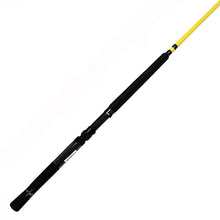 Load image into Gallery viewer, Mr.crappie Slab Daddy, 2pc Rods