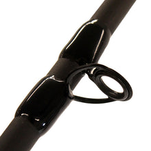 Load image into Gallery viewer, Cstm Plus Inshore Spd Stick Hm60 Wg
