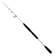 Load image into Gallery viewer, W&amp;m Flats Blue Saltwater 7'0" Osh Spin