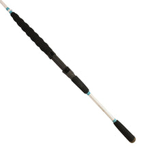 Load image into Gallery viewer, W&amp;m Flats Blue Saltwater 7'0" Osh Spin