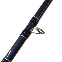 Load image into Gallery viewer, W&amp;m Ec Lead Core Trolling Combo 8'6" 2 Pc