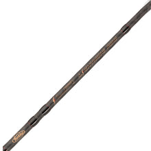 Load image into Gallery viewer, Bclr601m-pg Ber C Lightning Rod 6fmpg 18