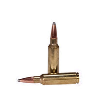 Load image into Gallery viewer, Ammo 300 Wsm 165gr Interlock Aw-20