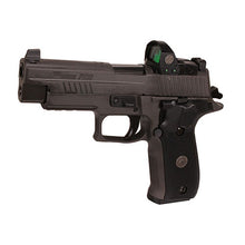 Load image into Gallery viewer, P226,9mm,4.4in,leg,gray,xry3,310rdmg,rmo1
