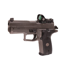 Load image into Gallery viewer, P229,9mm,3.9in,leg,gray,xry3,310rdmg,rmo1