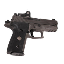 Load image into Gallery viewer, P229,9mm,3.9in,leg,gray,xry3,310rdmg,rmo1