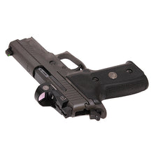 Load image into Gallery viewer, P229,9mm,3.9in,leg,gray,xry3,310rdmg,rmo1