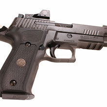 Load image into Gallery viewer, P226,9mm,4.4in,leg,gray,xry3,315rdmg,rmo1