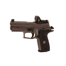 Load image into Gallery viewer, P229,9mm,3.9in,leg,gray,xry3,315rdmg,rmo1