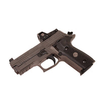 Load image into Gallery viewer, P229,9mm,3.9in,leg,gray,xry3,315rdmg,rmo1