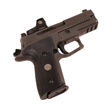 Load image into Gallery viewer, P229,9mm,3.9in,leg,gray,xry3,315rdmg,rmo1