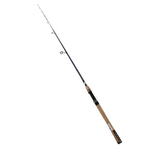 Load image into Gallery viewer, Aird Coastal Inshore, 1pc, Line Wt.= 8-17