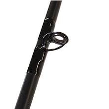 Load image into Gallery viewer, Fuego Ct Baitcasting Combo