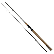 Load image into Gallery viewer, North Coast Ss Rod,2 Piece,lnwt 10-20