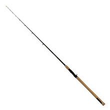 Load image into Gallery viewer, North Coast Ss Rod,2 Piece,lnwt 10-20