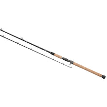 Load image into Gallery viewer, Proteus Ne Inshore Series,1pc,lnwt 8-17