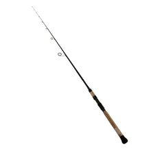 Load image into Gallery viewer, Proteus Ne Inshore Series,1pc,lnwt 8-17