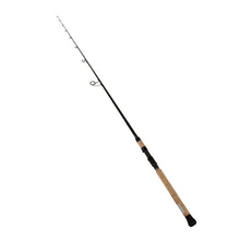 Load image into Gallery viewer, Proteus Ne Inshore Series,1pc,lnwt 15-30