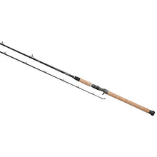 Load image into Gallery viewer, Proteus Ne Inshore Series,1pc,lnwt 10-20