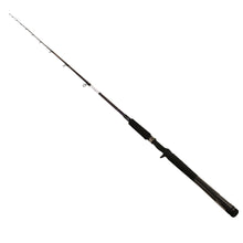 Load image into Gallery viewer, Rg Rod Series, 1pc, Line Wt.= 10-20