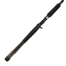 Load image into Gallery viewer, Rg Rod Series, 1pc, Line Wt.= 10-20