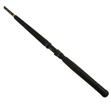 Load image into Gallery viewer, Rod-seagate Trolling, 1pc, Lnwt 50 - 80