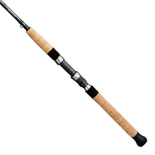 Load image into Gallery viewer, Saltist Ne Inshore Rods,1pc,lnwt 8-17