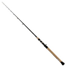 Load image into Gallery viewer, Saltist Ne Inshore Rods,1pc,lnwt 10-20