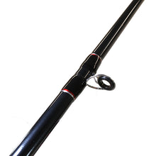Load image into Gallery viewer, Wilderness Specialty Rods,2pc,lnwt 12-30
