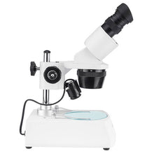 Load image into Gallery viewer, 20x,40x Binocular Stereo Microscope