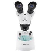 Load image into Gallery viewer, 20x,40x Binocular Stereo Microscope