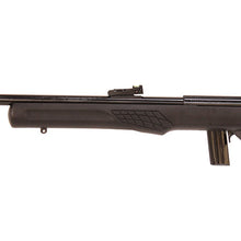 Load image into Gallery viewer, Rb 22lr Bk-bk 18" 10rds