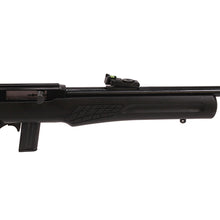 Load image into Gallery viewer, Rs 22lr Bk-bk 10 Rds