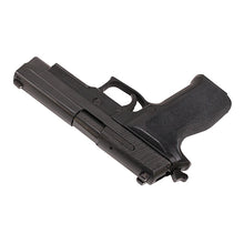 Load image into Gallery viewer, P226,9mm,4.4in,ntrn,blk,da-sa,sglt,2-10rd