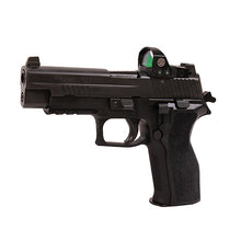 Load image into Gallery viewer, P226,9mm,4.4in,ntrn,blk,da-sa,sglt,2-10rd