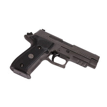 Load image into Gallery viewer, P226,9mm,4.4in,lgin,gy,da-sa,x-ray,3-10rd