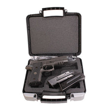 Load image into Gallery viewer, P226,9mm,4.4in,lgin,gy,da-sa,x-ray,3-10rd