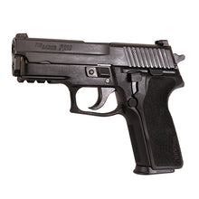 Load image into Gallery viewer, P229,9mm,3.9in,ntrn,blk,da-sa,sglt,2-10rd