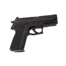 Load image into Gallery viewer, P229,9mm,3.9in,ntrn,blk,da-sa,sglt,2-10rd